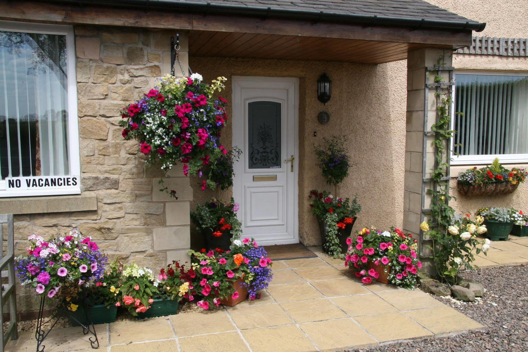 Northumberland Cottage B&B Acklington Экстерьер фото
